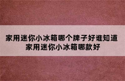 家用迷你小冰箱哪个牌子好谁知道 家用迷你小冰箱哪款好